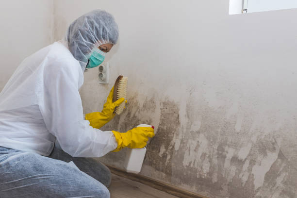 Water Damage Restoration in Grapeland, TX