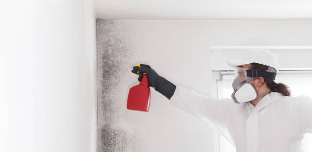 Best Mold Testing  in Grapeland, TX